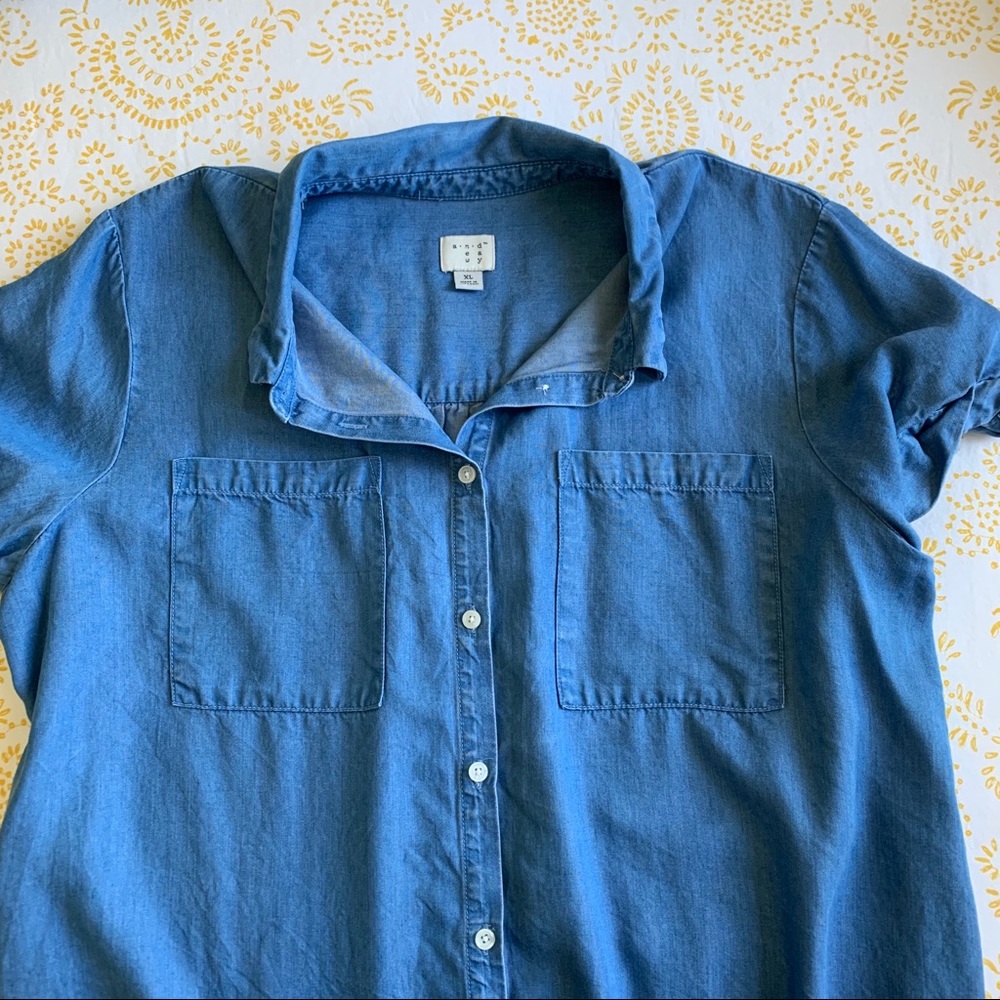 Blue Button Down - Picture 4 of 6